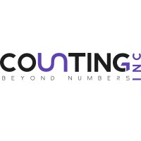 CountingINC logo - Similar company to Njs Tech