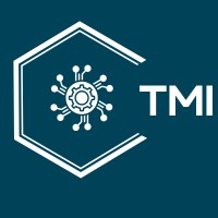 Tech Mirus Innovations logo - Similar company to V2Bits Technology Private Limited