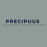 PRECIPUUS LTD logo - Similar company to Revegro