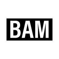 BAM Enterprises, Inc. logo - Similar company to Riverrund