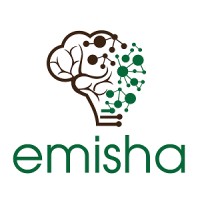 Emisha logo - Similar company to Ssba Technologies Pvt Ltd