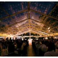 White Top Venues logo - Similar company to Mrs Smith Weddings