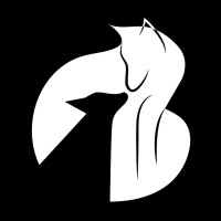 WolfPack Game Design logo - Similar company to Escape Game Studio