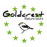 Goldcrest Nature Tours logo - Similar company to Birdingbreaks