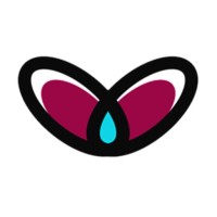 Dreamyflies logo - Similar company to Scitech Vault