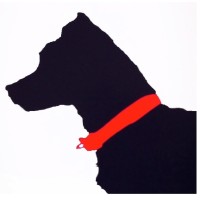 RED COLLAR CONSULTING LIMITED logo - Similar company to Remarkable Dynamics