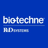 R&D Systems logo - Similar company to R&D Concierge