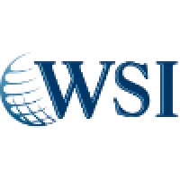 WSI - We Simplify the Internet logo - Similar company to We Simplify