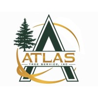 Atlas Tree Service, Inc logo - Similar company to Atlas Tree Service