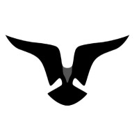 Eagle Eye Accountants logo - Similar company to Cfti