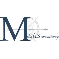 Mesics consultancy