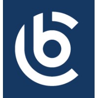 Blueprint Consulting Group logo - Similar company to Ecconsults