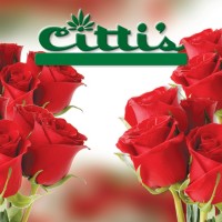 Citti'S Florist