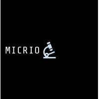 Micrio logo - Similar company to Innsikt