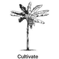 Cultivate logo - Similar company to Inné