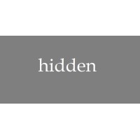 hidden logo - Similar company to Diniz Adient