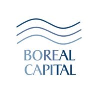 Boreal Capital Investment Banking logo - Similar company to Boréal Business