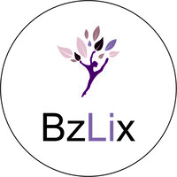 Bzlix logo - Similar company to Dawn Chambers, Advocates & Solicitors