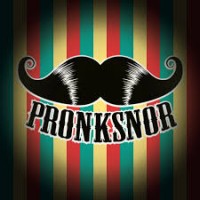 Pronksnor logo - Similar company to Bouwding