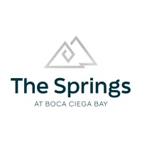 The Springs at Boca Ciega Bay logo - Similar company to Aravilla Clearwater