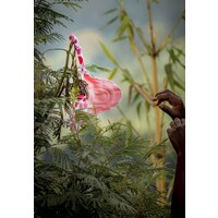 Kosmotive logo - Similar company to Oneclick-Med