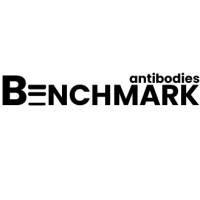 Benchmark Antibodies logo - Similar company to Igg Biolabs