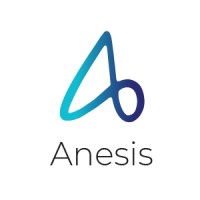 Anesis logo - Similar company to Anesis Therapy