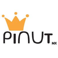 Pinut Mx logo - Similar company to The Design Mode Studio