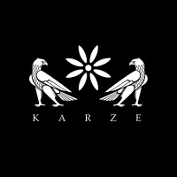 Karze logo - Similar company to Go On | Software Development & Ai