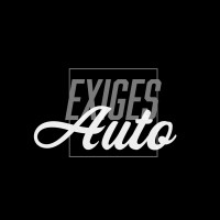 Exiges Auto logo - Similar company to Flexxable.