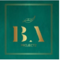 BA PROJECTZ logo - Similar company to Ba Masterminds