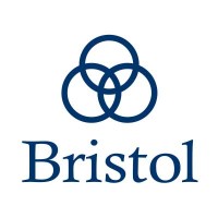 The Bristol Group PLLC logo - Similar company to Davis & Leiman Pc