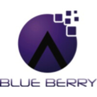 Blue Berry e-Services Private Limited logo - Similar company to Sm Web Solution