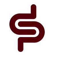 DeveloPro Services logo - Similar company to develoPro