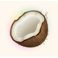 Coconote: AI Notetaker logo - Similar company to Coconote