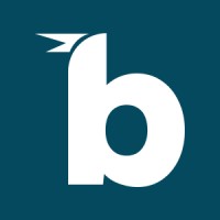 Birdie AI logo - Similar company to Buildbox It Solutions