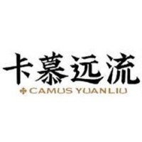 CAMUS YUANLIU [Part of CAMUS Group] logo - Similar company to Segrace