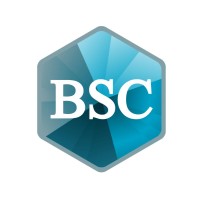 BlueStream Coltan logo - Similar company to Zhonghe Minerals Co., Ltd.