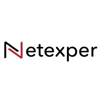 Netexper logo - Similar company to Think Tank Technologies