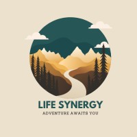 Life Synergy logo - Similar company to Northpointe Christian Schools