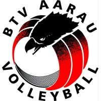 BTV Aarau Volleyball logo - Similar company to Zeitpol Ag