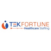 Tekfortune Healthcare Staffing logo - Similar company to Techy Recruit