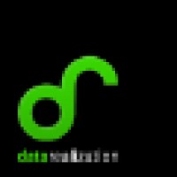 Data Realization
