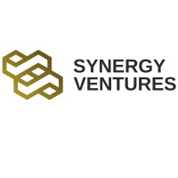 SYNERGY VENTURES AO logo - Similar company to Soleng - Soluções De Engenharia