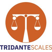 Tridante Scales logo - Similar company to Ita Group