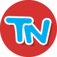 Toy Networx logo - Similar company to Toynetworks International