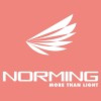 Norming Lighting logo - Similar company to Custom-Lighting Solutions- Cst