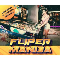 Flipermanija logo - Similar company to Dev3