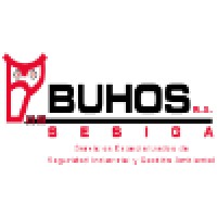 Sesiga Buhos S.A.