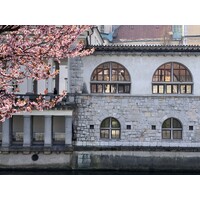 Ljubljana logo - Similar company to Cankarjev Dom, Cultural And Congress Centre Ljubljana